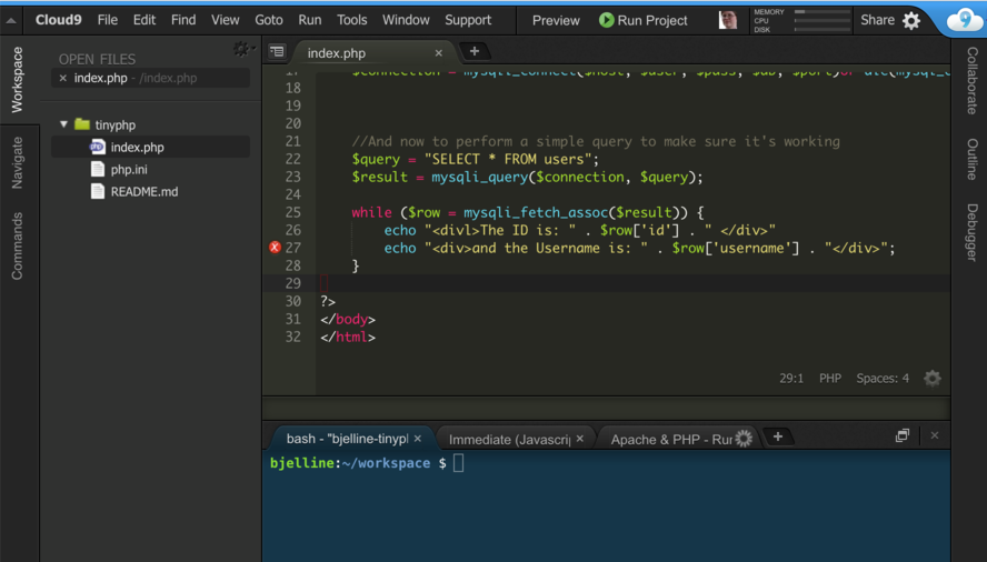Code online entwickeln