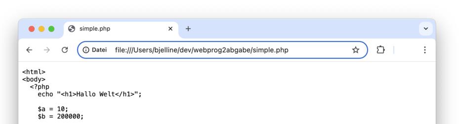 Abbildung 125: So funktioniert PHP nicht: ohne Webserver, falsche Dateiendung
