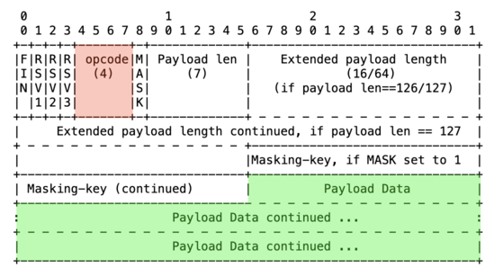 websocket frame